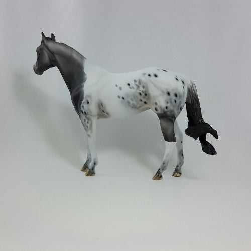 CORNUCOPIA - OOAK Gray Appaloosa Stock Horse