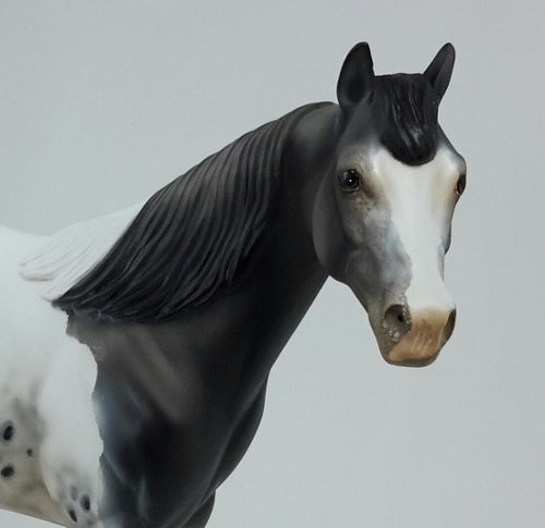 CORNUCOPIA - OOAK Gray Appaloosa Stock Horse
