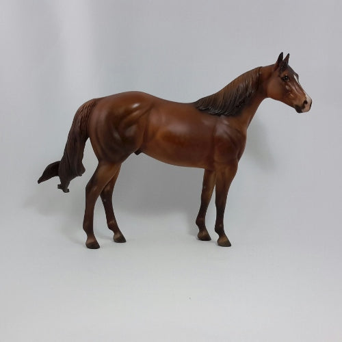 TURKEY TOM - OOAK Dapple Chestnut