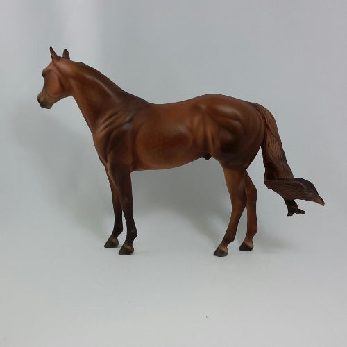 TURKEY TOM - OOAK Dapple Chestnut