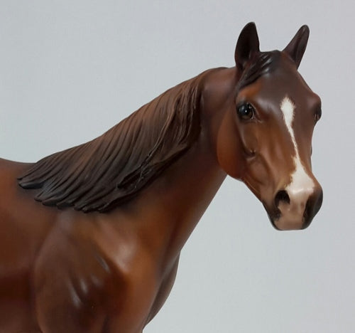 TURKEY TOM - OOAK Dapple Chestnut