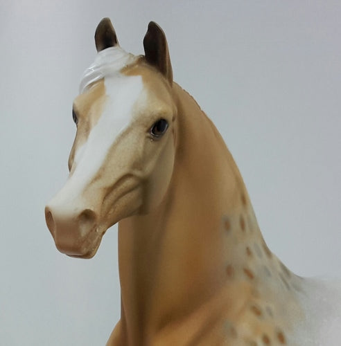 MAIZE - OOAK Palomino Appaloosa Morgan Model Horse