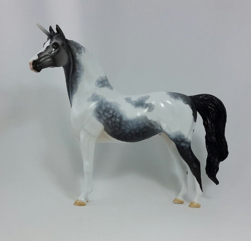 SQUANTO - OOAK Dapple Gray Pinto Unicorn Morgan