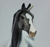 SQUANTO - OOAK Dapple Gray Pinto Unicorn Morgan