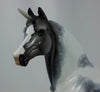 SQUANTO - OOAK Dapple Gray Pinto Unicorn Morgan