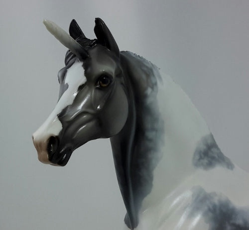 SQUANTO - OOAK Dapple Gray Pinto Unicorn Morgan