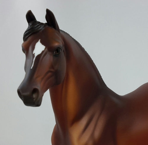 CHUTNEY - Bay Morgan Model Horse Mare