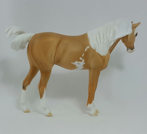 PUMPKIN CHEESECAKE - Palomino Pinto Arabian Pebbles