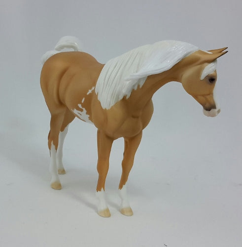 PUMPKIN CHEESECAKE - Palomino Pinto Arabian Pebbles