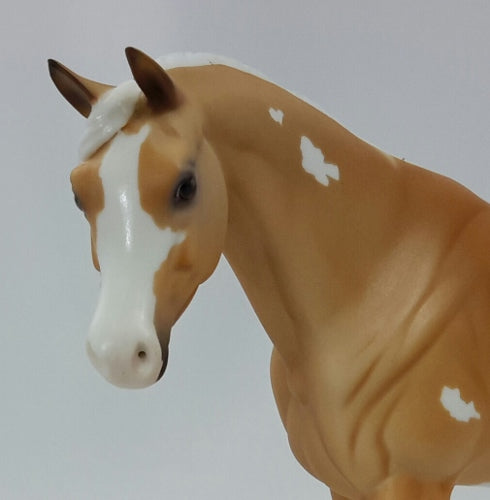 PUMPKIN CHEESECAKE - Palomino Pinto Arabian Pebbles