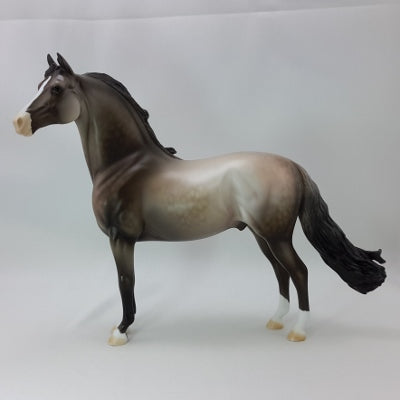 BLESSINGS - OOAK Dapple Gray Morgan 11/14