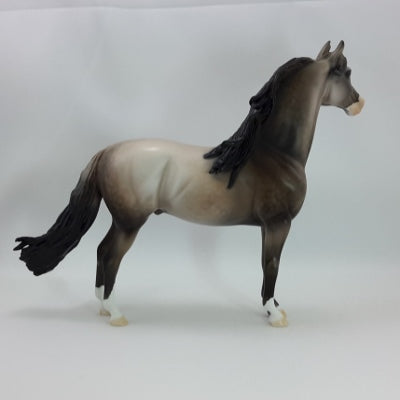 BLESSINGS - OOAK Dapple Gray Morgan 11/14