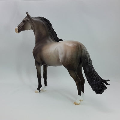 BLESSINGS - OOAK Dapple Gray Morgan 11/14