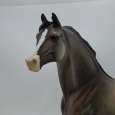 BLESSINGS - OOAK Dapple Gray Morgan 11/14