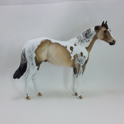 TRIMMINGS - OOAK Buckskin Tobiano Stock Horse 11/14