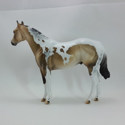 TRIMMINGS - OOAK Buckskin Tobiano Stock Horse 11/14