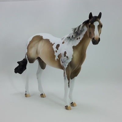 TRIMMINGS - OOAK Buckskin Tobiano Stock Horse 11/14
