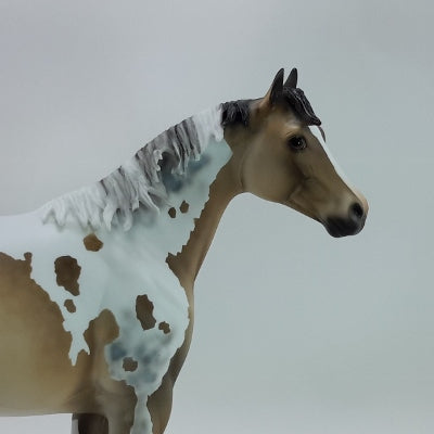 TRIMMINGS - OOAK Buckskin Tobiano Stock Horse 11/14