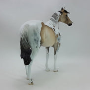 TRIMMINGS - OOAK Buckskin Tobiano Stock Horse 11/14
