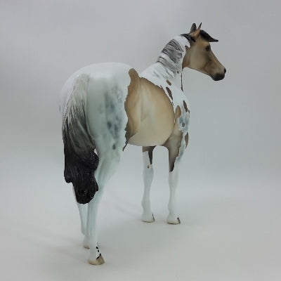 TRIMMINGS - OOAK Buckskin Tobiano Stock Horse 11/14