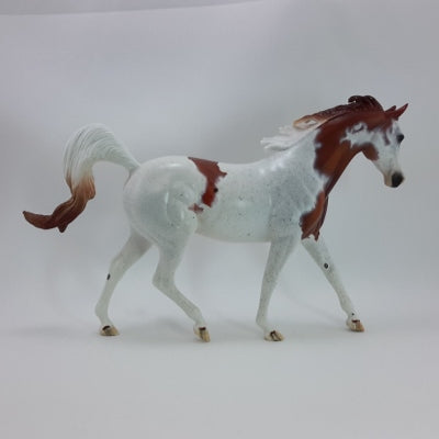 CRANBERRY COCKTAIL - OOAK Chestnut Roan Appaloosa Indian Pony 11/14