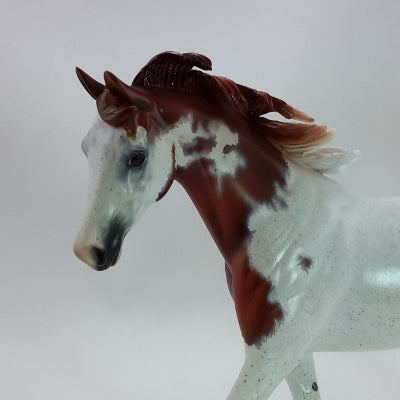 CRANBERRY COCKTAIL - OOAK Chestnut Roan Appaloosa Indian Pony 11/14