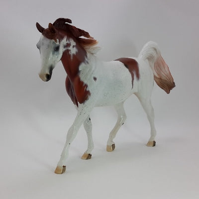 CRANBERRY COCKTAIL - OOAK Chestnut Roan Appaloosa Indian Pony 11/14