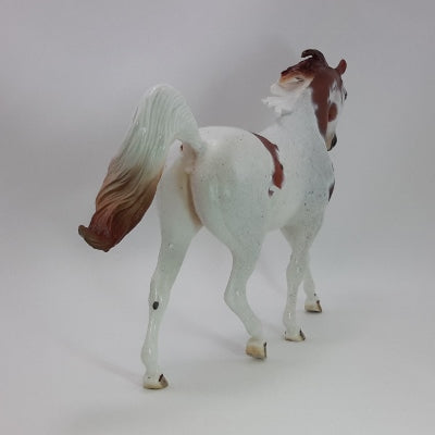 CRANBERRY COCKTAIL - OOAK Chestnut Roan Appaloosa Indian Pony 11/14