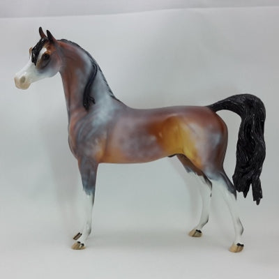 APPLE CIDER SPICE - OOAK Chestnut Going Gray Arabian 11/14