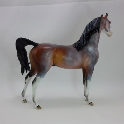 APPLE CIDER SPICE - OOAK Chestnut Going Gray Arabian 11/14