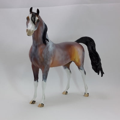 APPLE CIDER SPICE - OOAK Chestnut Going Gray Arabian 11/14