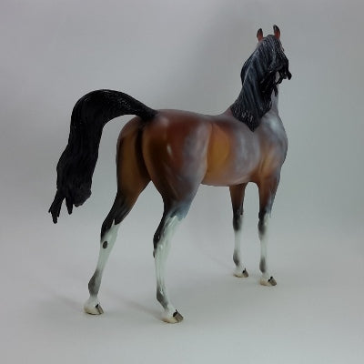 APPLE CIDER SPICE - OOAK Chestnut Going Gray Arabian 11/14