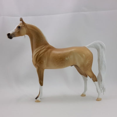 RELISH - OOAK Dapple Palomino Arabian 11/14