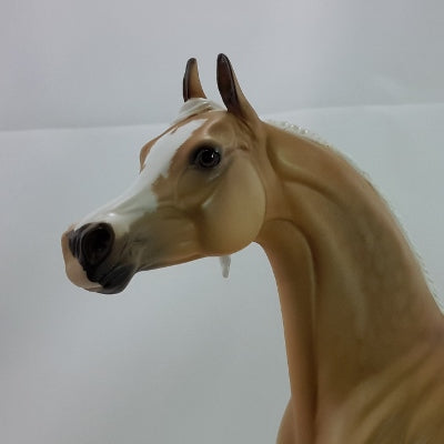 RELISH - OOAK Dapple Palomino Arabian 11/14