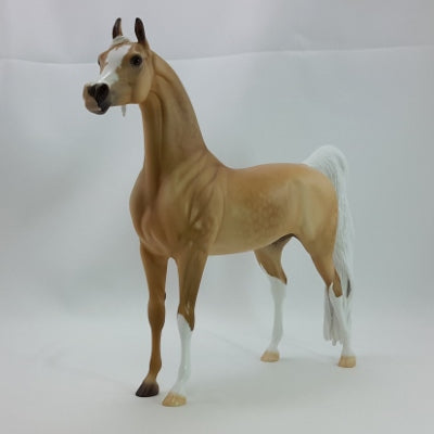 RELISH - OOAK Dapple Palomino Arabian 11/14
