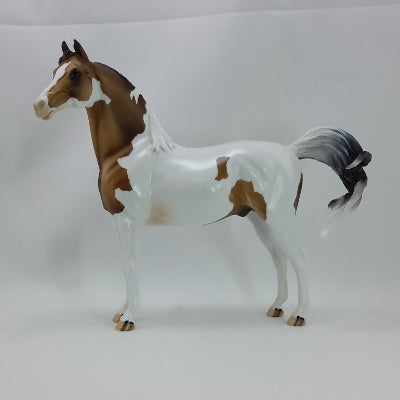 GOOSEBERRY PIE - OOAK Custom Bay Paint Morgan 11/14