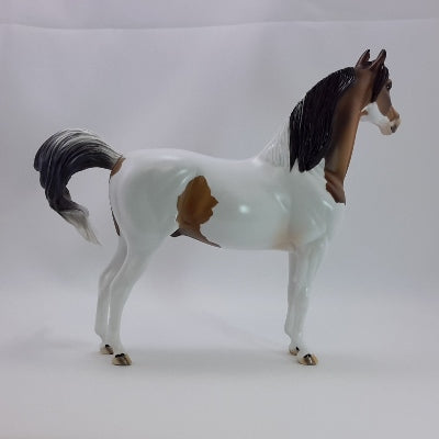 GOOSEBERRY PIE - OOAK Custom Bay Paint Morgan 11/14