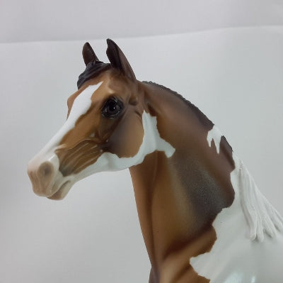 GOOSEBERRY PIE - OOAK Custom Bay Paint Morgan 11/14