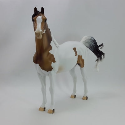 GOOSEBERRY PIE - OOAK Custom Bay Paint Morgan 11/14