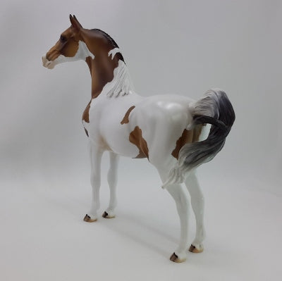 GOOSEBERRY PIE - OOAK Custom Bay Paint Morgan 11/14