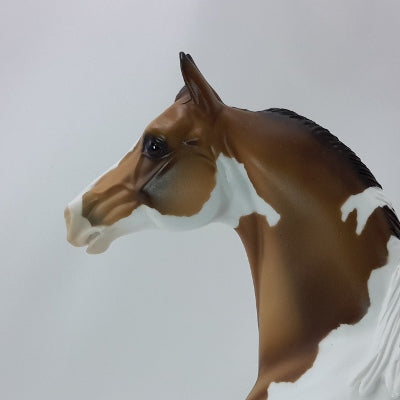 GOOSEBERRY PIE - OOAK Custom Bay Paint Morgan 11/14