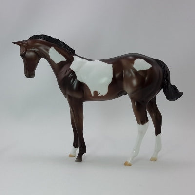 GIBLET - OOAK Bay Weanling Paint 11/14
