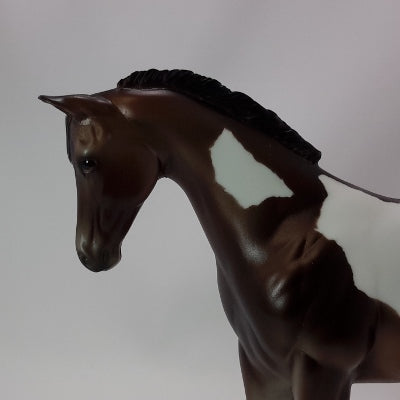 GIBLET - OOAK Bay Weanling Paint 11/14