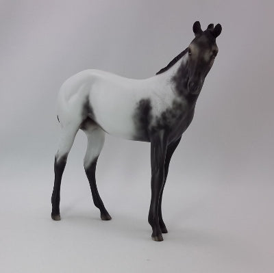 OOAK Gray Appaloosa Weanling 