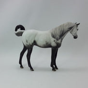 BEING GRATEFUL - OOAK Gray Appaloosa Pebbles