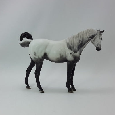 BEING GRATEFUL - OOAK Gray Appaloosa Pebbles