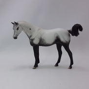 BEING GRATEFUL - OOAK Gray Appaloosa Pebbles