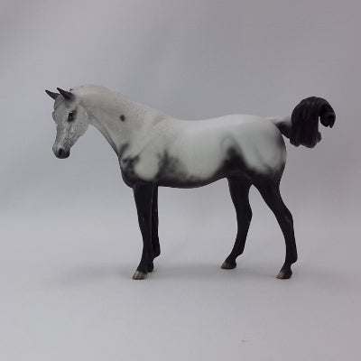 BEING GRATEFUL - OOAK Gray Appaloosa Pebbles