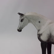 BEING GRATEFUL - OOAK Gray Appaloosa Pebbles