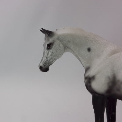 BEING GRATEFUL - OOAK Gray Appaloosa Pebbles